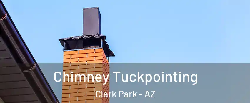 Chimney Tuckpointing Clark Park - AZ