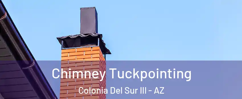 Chimney Tuckpointing Colonia Del Sur III - AZ