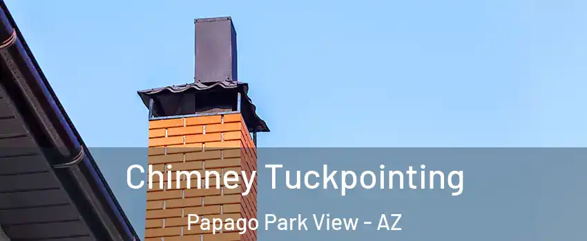 Chimney Tuckpointing Papago Park View - AZ