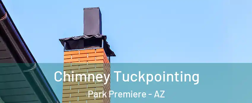 Chimney Tuckpointing Park Premiere - AZ