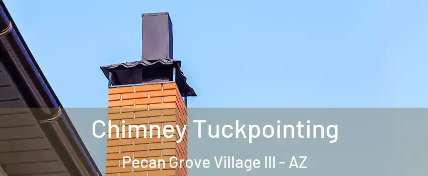 Chimney Tuckpointing Pecan Grove Village III - AZ