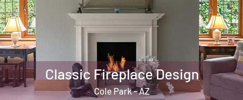 Classic Fireplace Design Cole Park - AZ