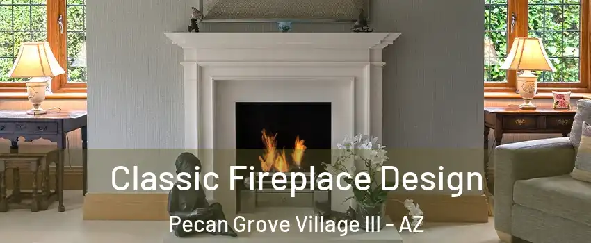 Classic Fireplace Design Pecan Grove Village III - AZ