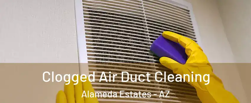 Clogged Air Duct Cleaning Alameda Estates - AZ