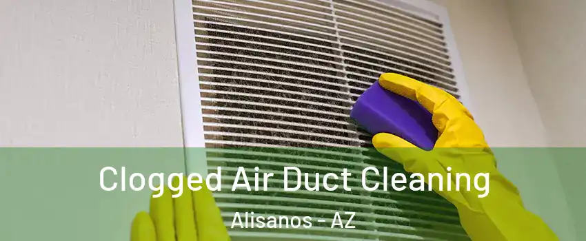 Clogged Air Duct Cleaning Alisanos - AZ