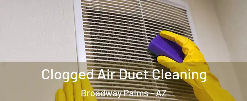 Clogged Air Duct Cleaning Broadway Palms - AZ