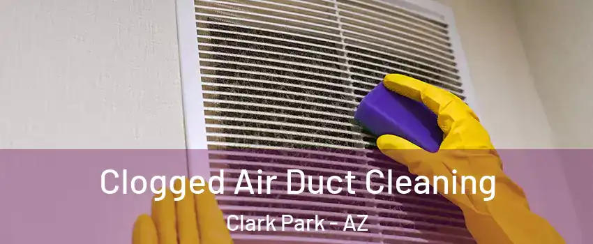 Clogged Air Duct Cleaning Clark Park - AZ