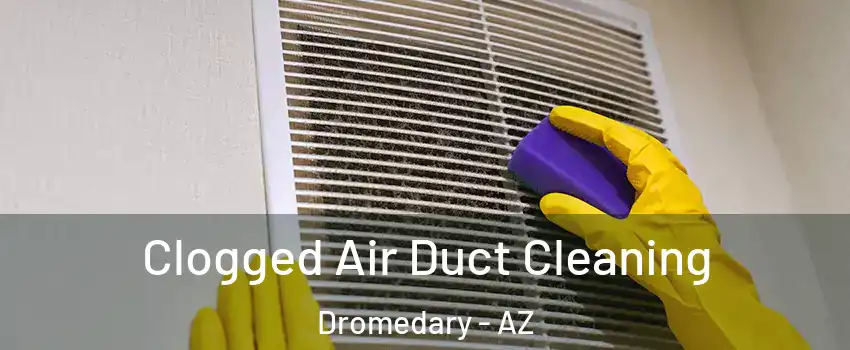 Clogged Air Duct Cleaning Dromedary - AZ