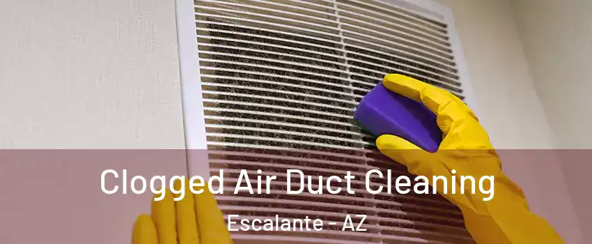 Clogged Air Duct Cleaning Escalante - AZ