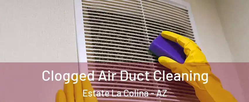 Clogged Air Duct Cleaning Estate La Colina - AZ
