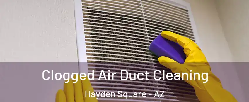 Clogged Air Duct Cleaning Hayden Square - AZ