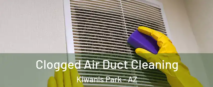 Clogged Air Duct Cleaning Kiwanis Park - AZ