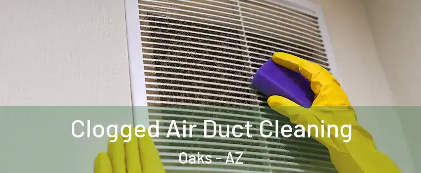 Clogged Air Duct Cleaning Oaks - AZ