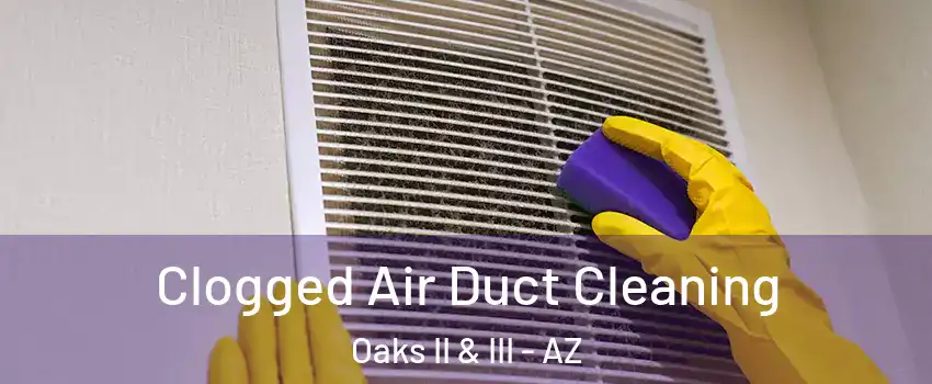 Clogged Air Duct Cleaning Oaks II & III - AZ