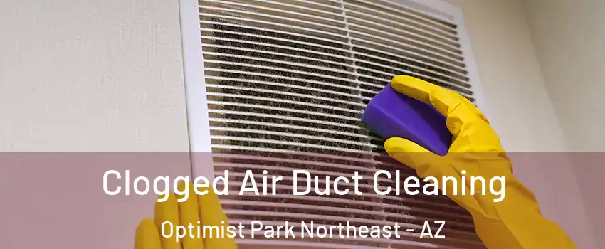 Clogged Air Duct Cleaning Optimist Park Northeast - AZ