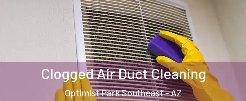 Clogged Air Duct Cleaning Optimist Park Southeast - AZ
