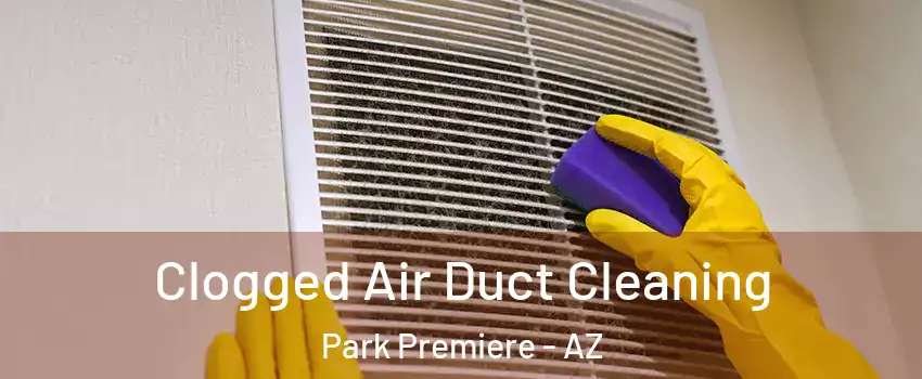 Clogged Air Duct Cleaning Park Premiere - AZ