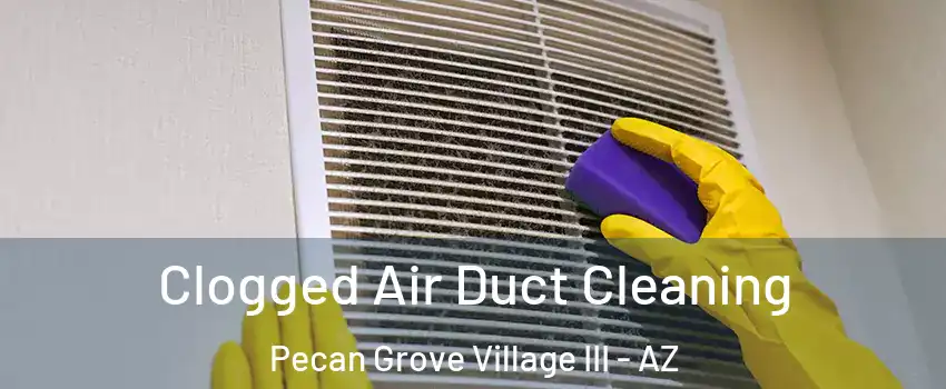 Clogged Air Duct Cleaning Pecan Grove Village III - AZ