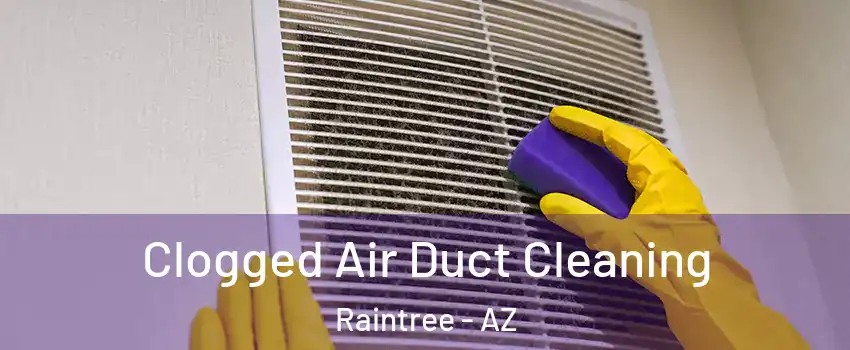 Clogged Air Duct Cleaning Raintree - AZ