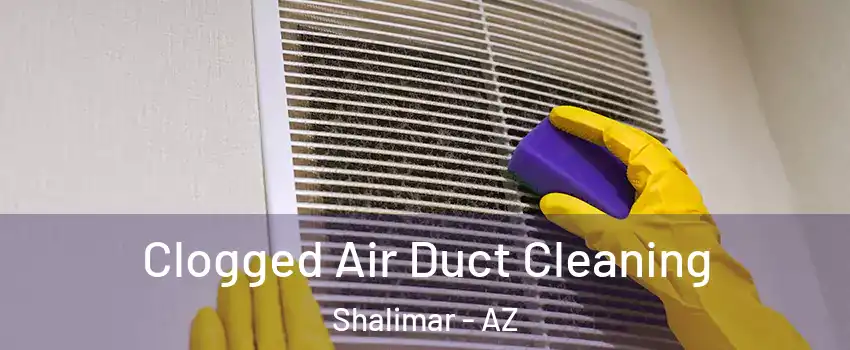 Clogged Air Duct Cleaning Shalimar - AZ