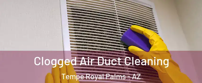 Clogged Air Duct Cleaning Tempe Royal Palms - AZ