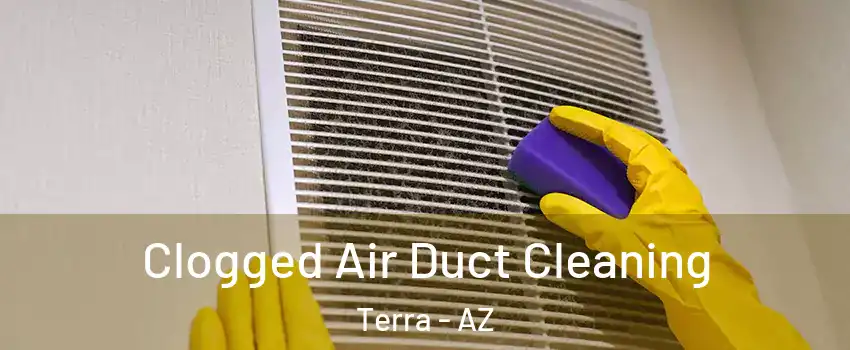 Clogged Air Duct Cleaning Terra - AZ