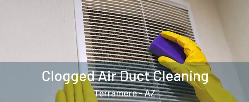 Clogged Air Duct Cleaning Terramere - AZ