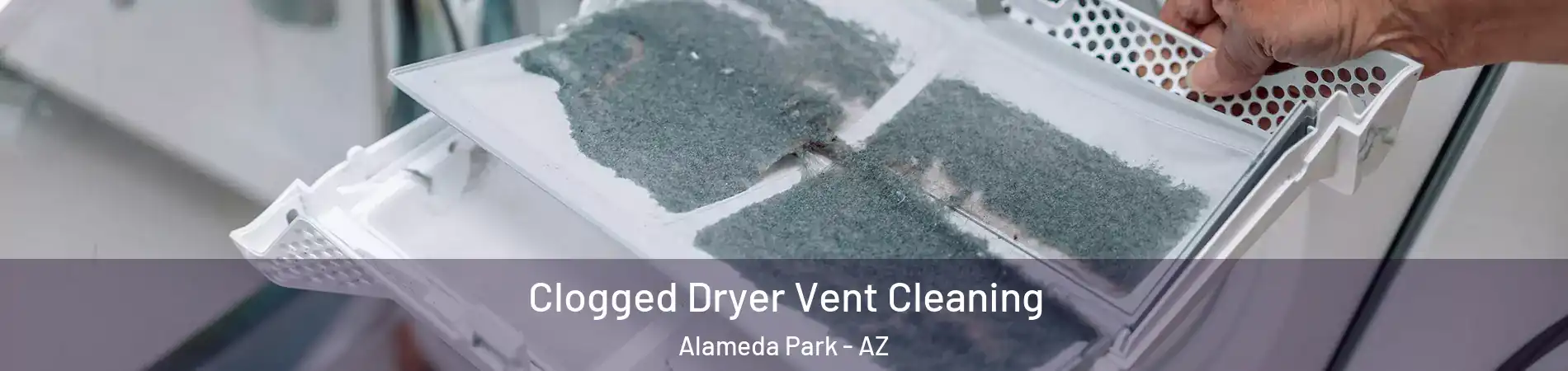 Clogged Dryer Vent Cleaning Alameda Park - AZ