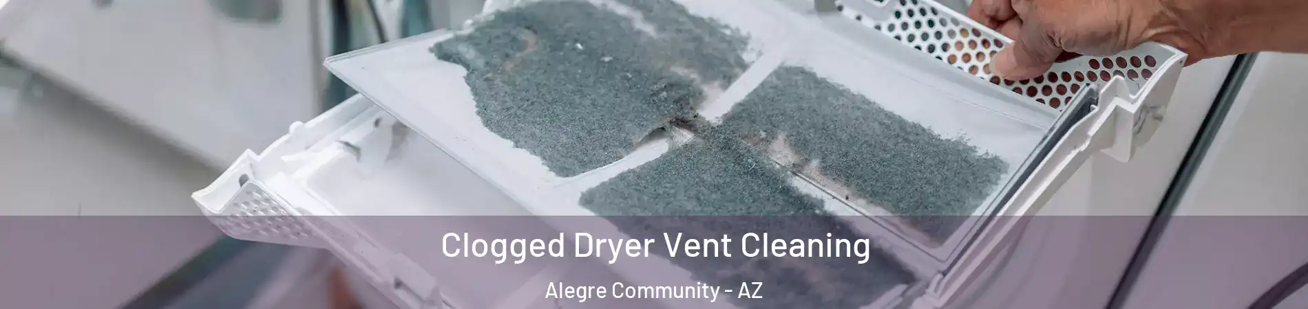 Clogged Dryer Vent Cleaning Alegre Community - AZ