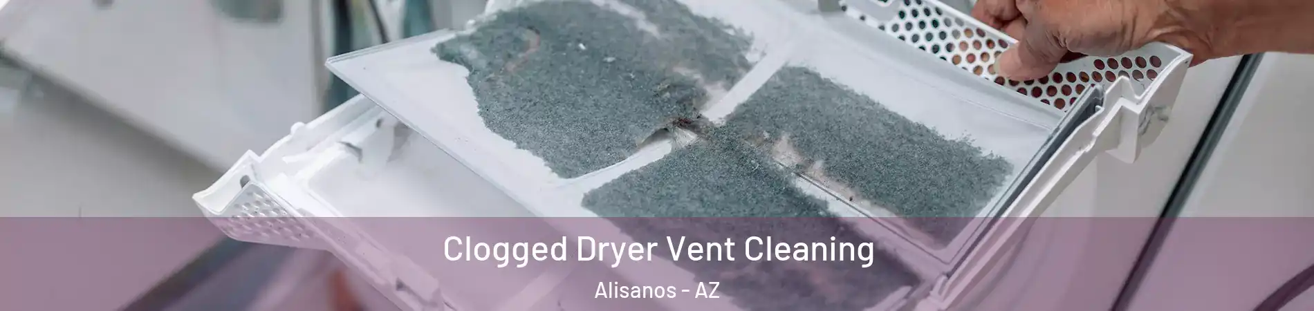 Clogged Dryer Vent Cleaning Alisanos - AZ