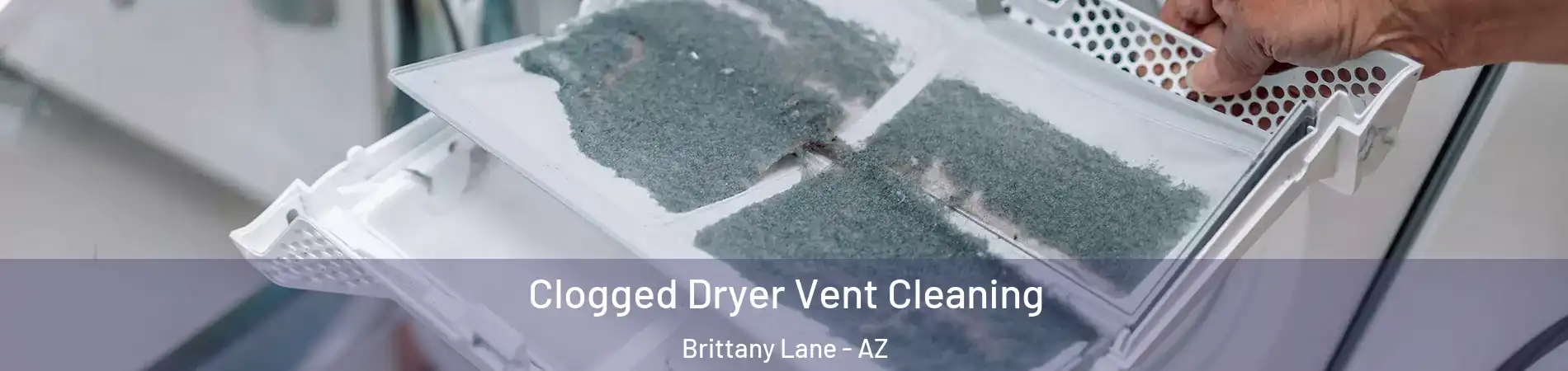 Clogged Dryer Vent Cleaning Brittany Lane - AZ