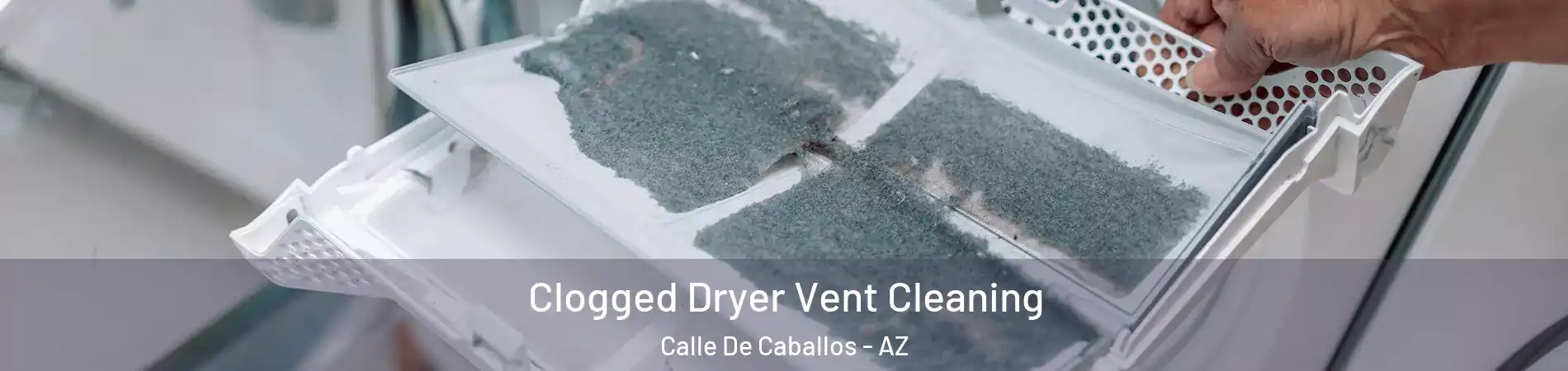 Clogged Dryer Vent Cleaning Calle De Caballos - AZ