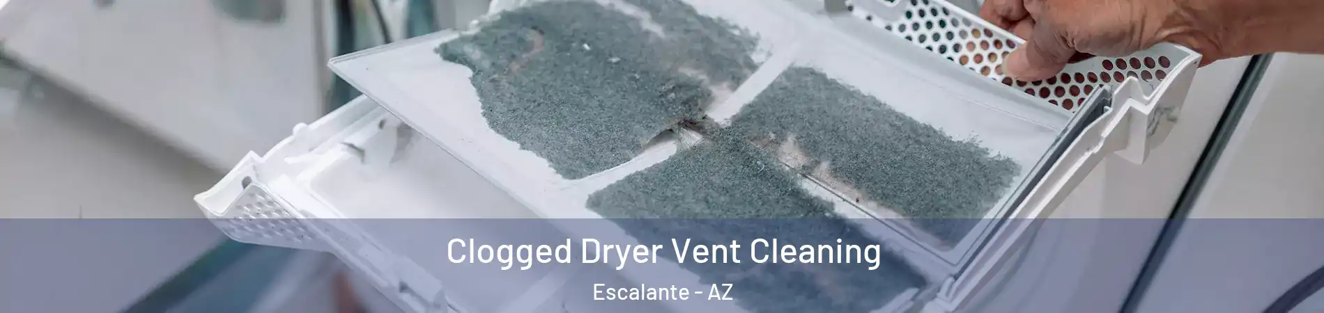 Clogged Dryer Vent Cleaning Escalante - AZ