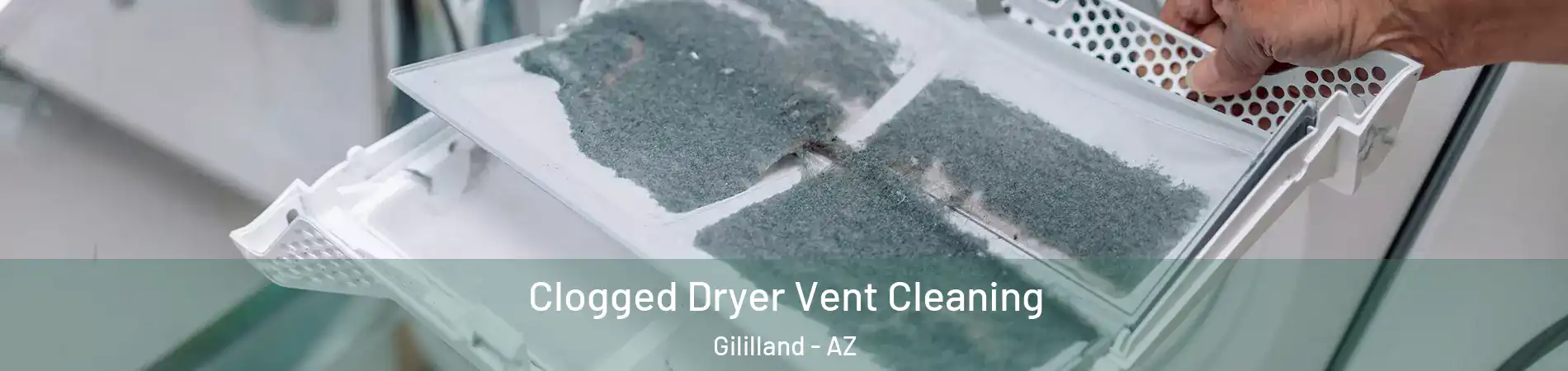 Clogged Dryer Vent Cleaning Gililland - AZ