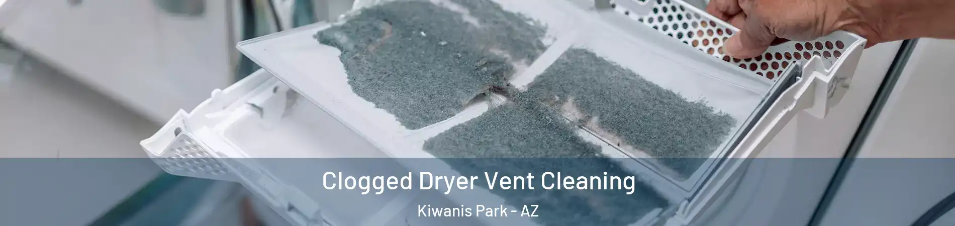 Clogged Dryer Vent Cleaning Kiwanis Park - AZ