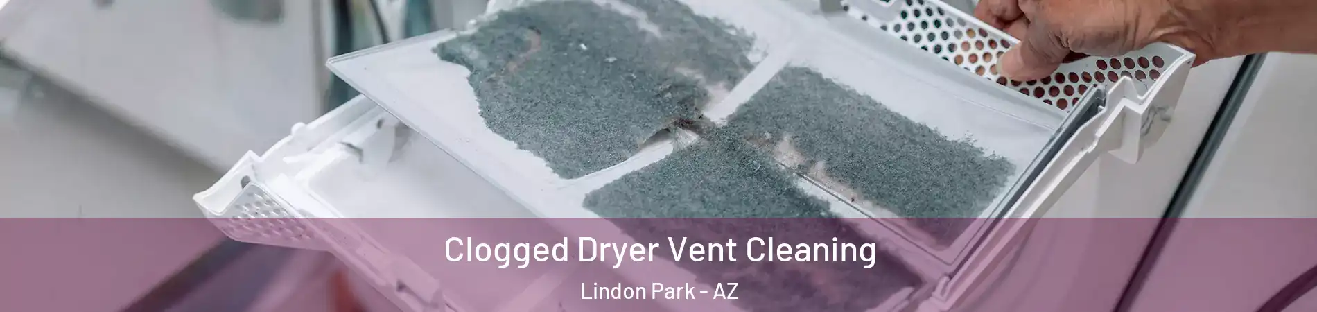 Clogged Dryer Vent Cleaning Lindon Park - AZ