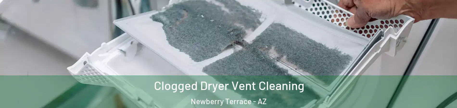 Clogged Dryer Vent Cleaning Newberry Terrace - AZ