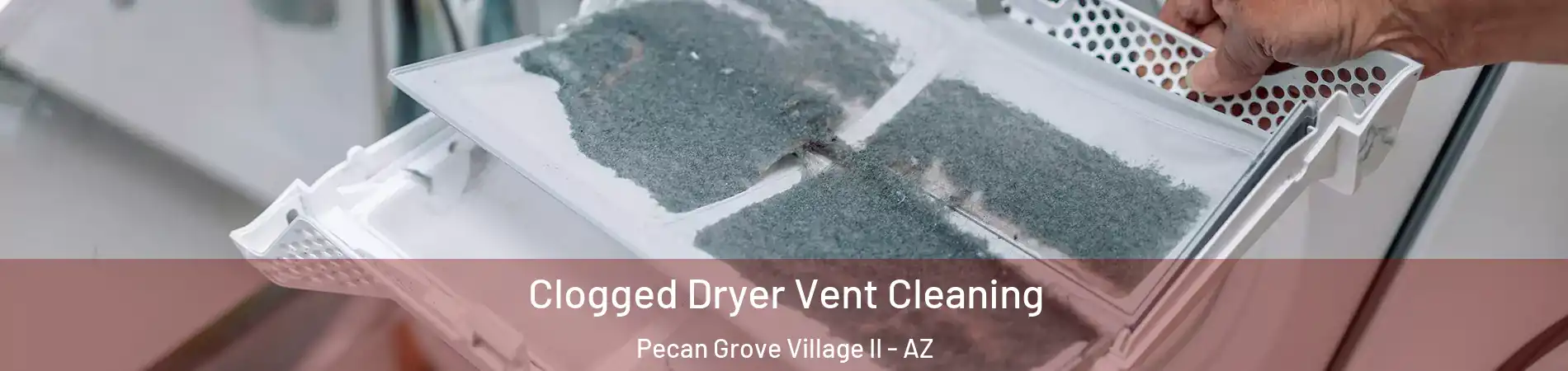 Clogged Dryer Vent Cleaning Pecan Grove Village II - AZ