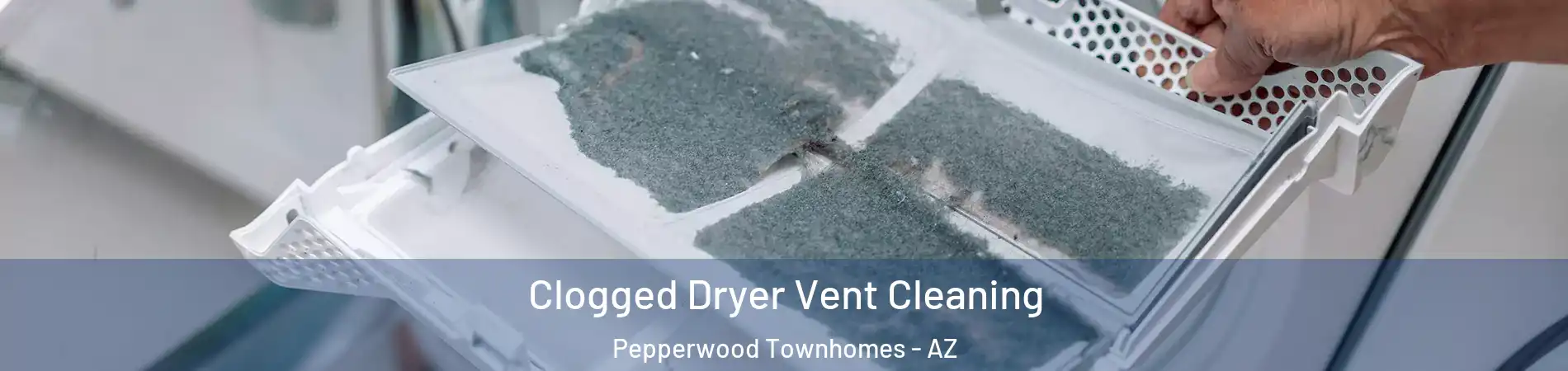 Clogged Dryer Vent Cleaning Pepperwood Townhomes - AZ