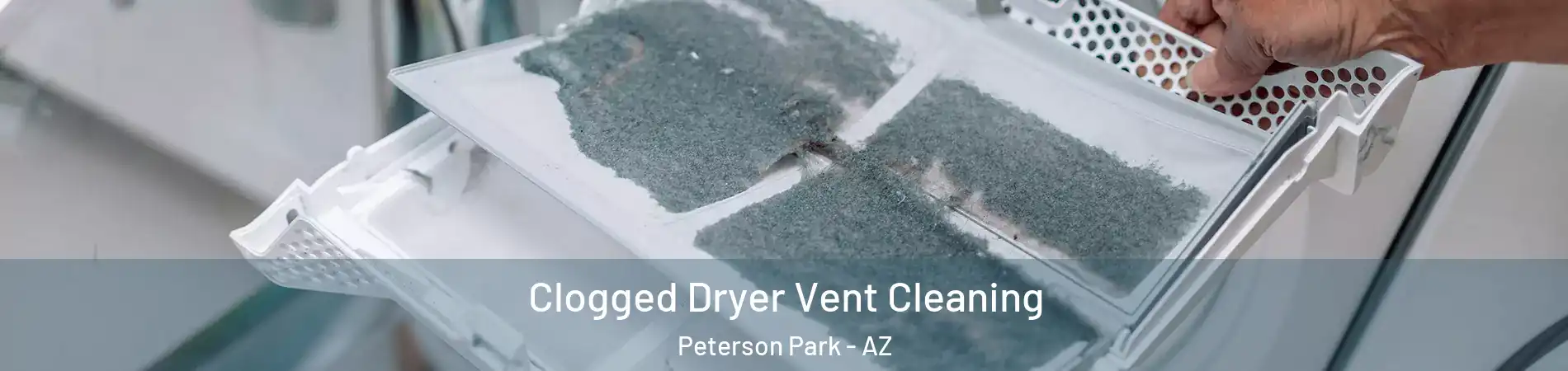 Clogged Dryer Vent Cleaning Peterson Park - AZ