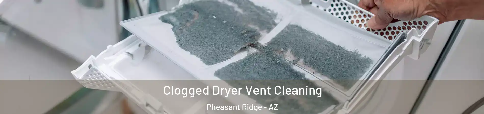Clogged Dryer Vent Cleaning Pheasant Ridge - AZ