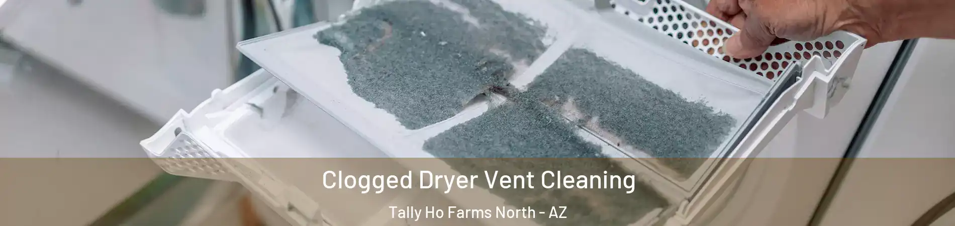 Clogged Dryer Vent Cleaning Tally Ho Farms North - AZ