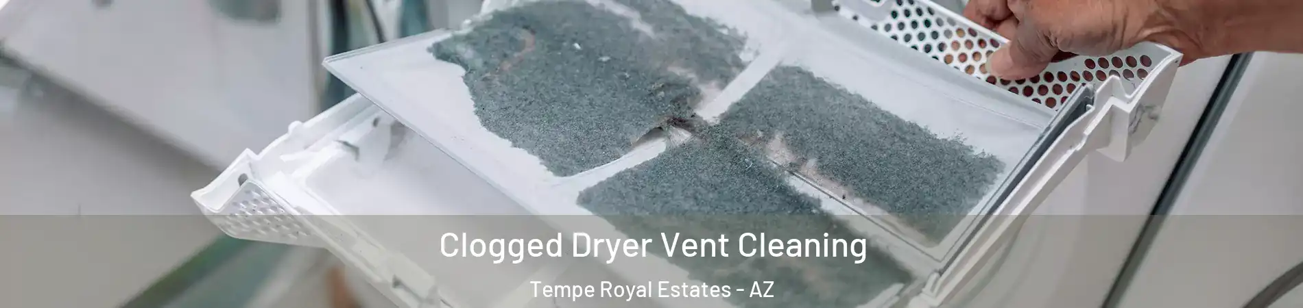 Clogged Dryer Vent Cleaning Tempe Royal Estates - AZ