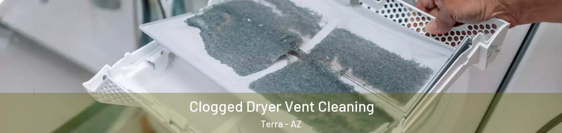 Clogged Dryer Vent Cleaning Terra - AZ