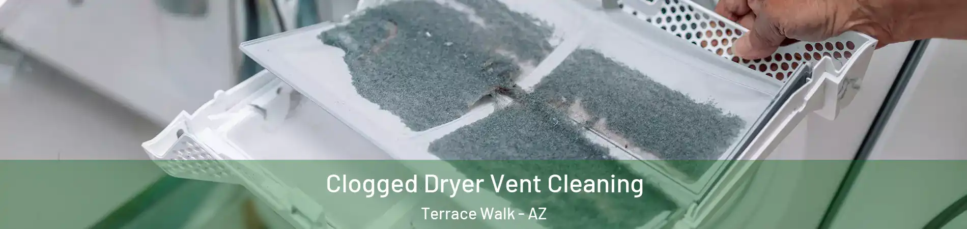 Clogged Dryer Vent Cleaning Terrace Walk - AZ