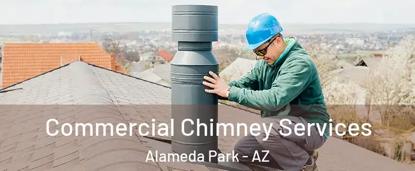 Commercial Chimney Services Alameda Park - AZ