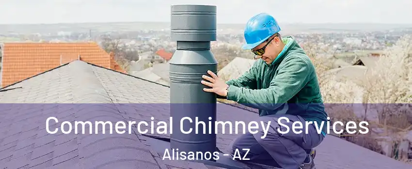 Commercial Chimney Services Alisanos - AZ