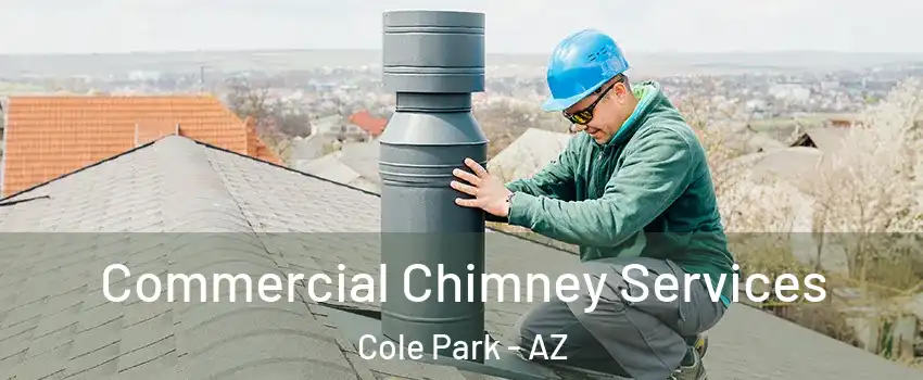 Commercial Chimney Services Cole Park - AZ