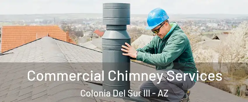 Commercial Chimney Services Colonia Del Sur III - AZ