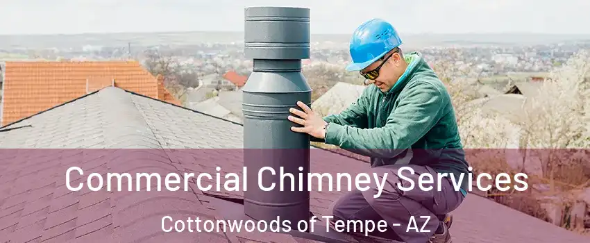 Commercial Chimney Services Cottonwoods of Tempe - AZ
